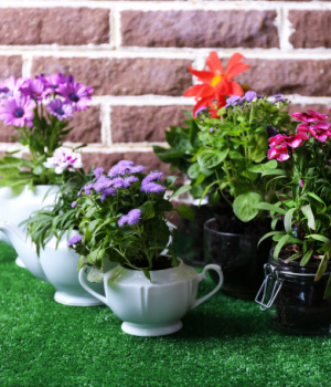 Global Pots and Planters Market Size & Share, Growth Forecast Report